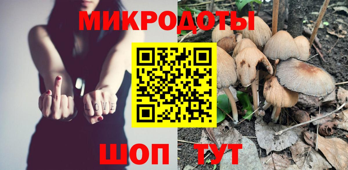 Псилоцибиновые грибы GOLDEN TEACHER Майский