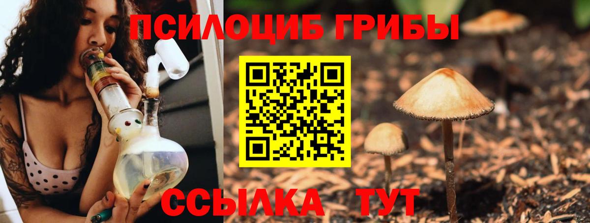 Псилоцибиновые грибы прущие грибы  Псилоцибиновые грибы Magic Shrooms  Майский  Вход с VPN 